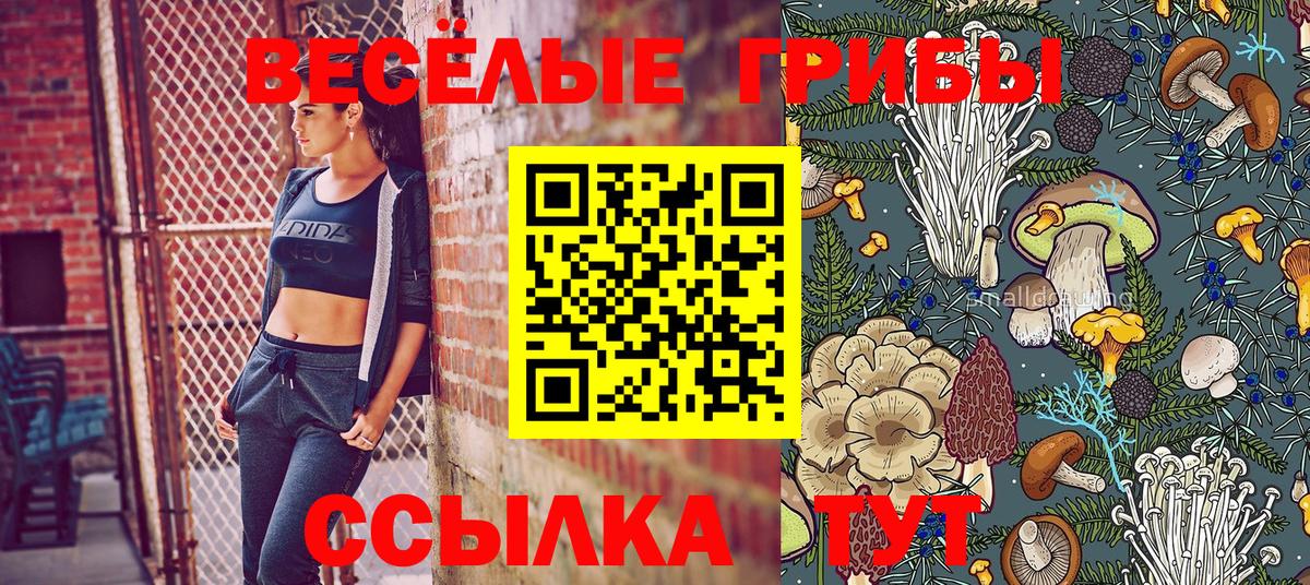 Галлюциногенные грибы мицелий Узловая